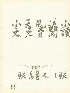 小天风流小说全文免费阅读无弹窗