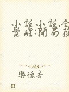 小说小说,全民觉醒:开局获得sss级天赋