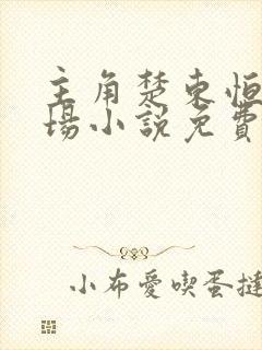 主角楚东恒的官场小说免费阅读