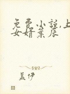 免费小说,上门女婿叶辰封面