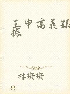 王申高义孙倩赵振封面