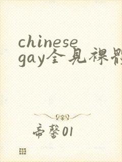 chinesegay全见裸体