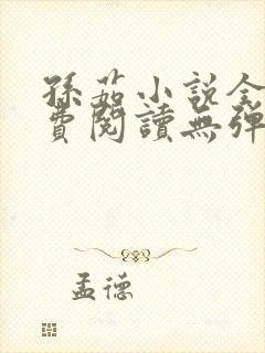 孙茹小说全文免费阅读无弹窗