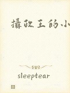 摄政王的小闲妻