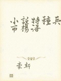 小说特种兵在都市杨洛