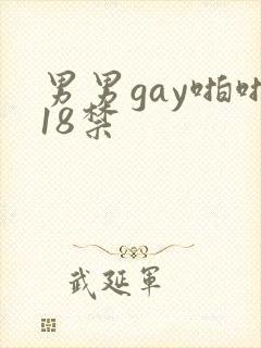 男男gay啪啪18禁
