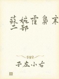 苏婉霍枭寒最第二部