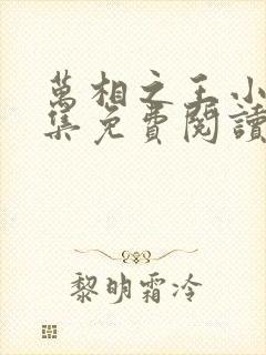 万相之王小说全集免费阅读