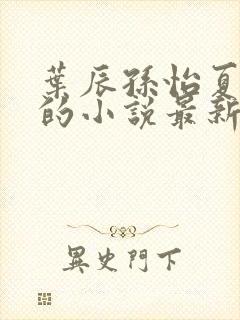 叶辰孙怡夏若雪的小说最新封面