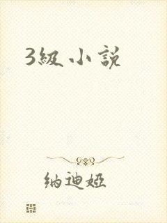 3级小说
