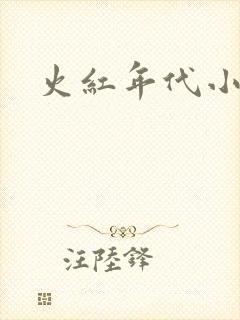 火红年代小说封面