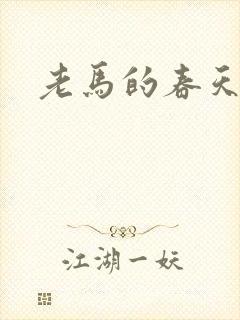老马的春天封面
