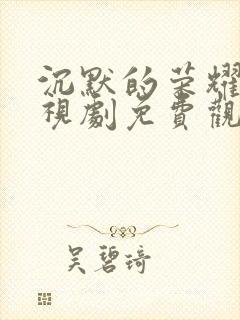 沉默的荣耀 电视剧免费观看全集