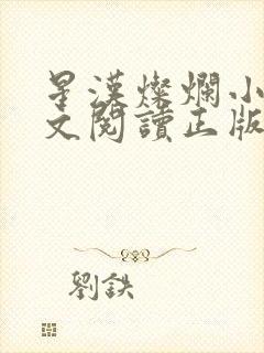 星汉灿烂小说全文阅读正版封面