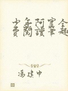 少年阿宾全文免费阅读笔趣阁