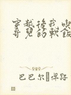 穿越后我吃到了哥儿的软饭炉山灰