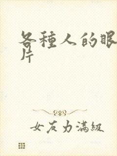 各种人的眼睛图片