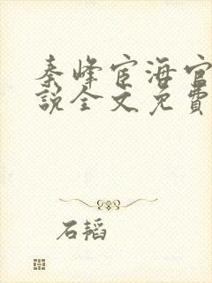 秦峰宦海官途小说全文免费听书