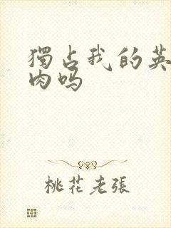 独占我的英雄有肉吗