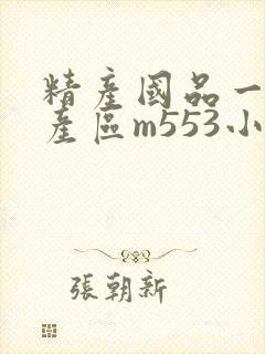 精产国品一二三产区m553小说封面