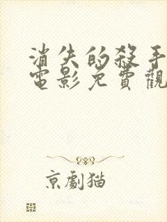 消失的杀手国语电影免费观看