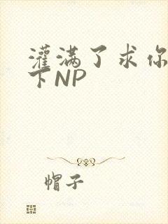 灌满了求你们停下NP
