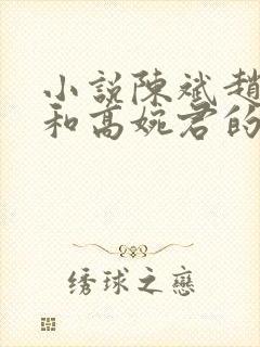 小说陈斌赵心媚和高婉君的小说免费阅读封面