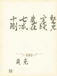 十七岁完整版未删减在线免费观看封面