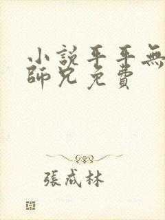 小说平平无奇大师兄免费