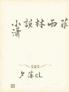 小说林雨菲顾北潇