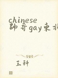 chinese帅哥gay东北封面