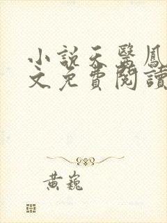 小说天医凤九全文免费阅读