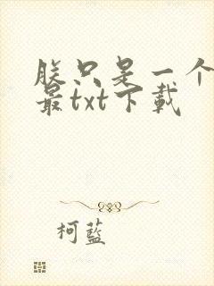 朕只是一个演员最txt下载封面