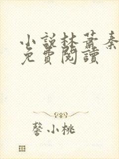 小说林萧秦婉秋免费阅读封面