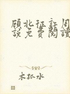 顾北征许周舟小说免费阅读最新章节