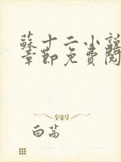 苏十二小说最新章节免费阅读全文封面