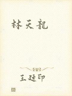 林天龙封面