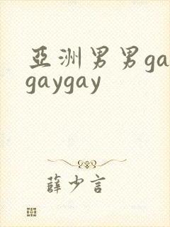 亚洲男男gaygaygay