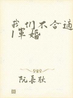 我们不合适1v1军婚封面