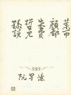 孙哲朱颜叶巧小说免费都市之医武风流