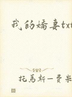我的娇妻txt封面
