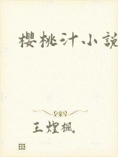 樱桃汁小说封面