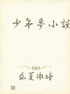 少年梦小说