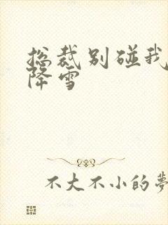 总裁别碰我 韩降雪封面