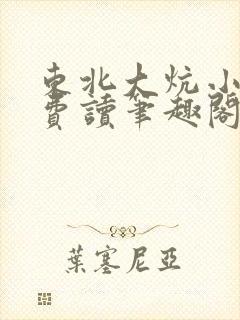 东北大炕小说免费读笔趣阁封面