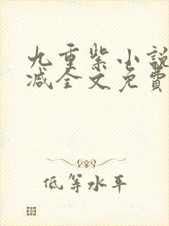 九重紫小说未删减全文免费阅读封面