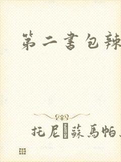 第二书包辣文