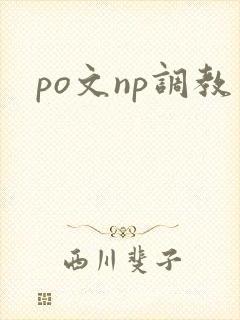 po文np调教