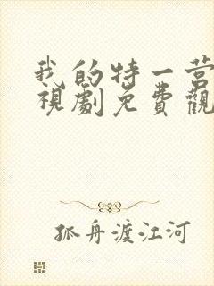 我的特一营 电视剧免费观看全集