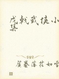 戊戟武侠小说全集封面